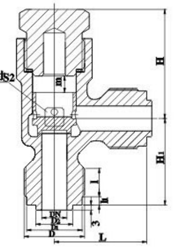 Drawing of GB T597 Male Threaded Bronze Check Valve Type B.png Drawing of GB T597 Male Threaded Bronze Check Valve Type B.png